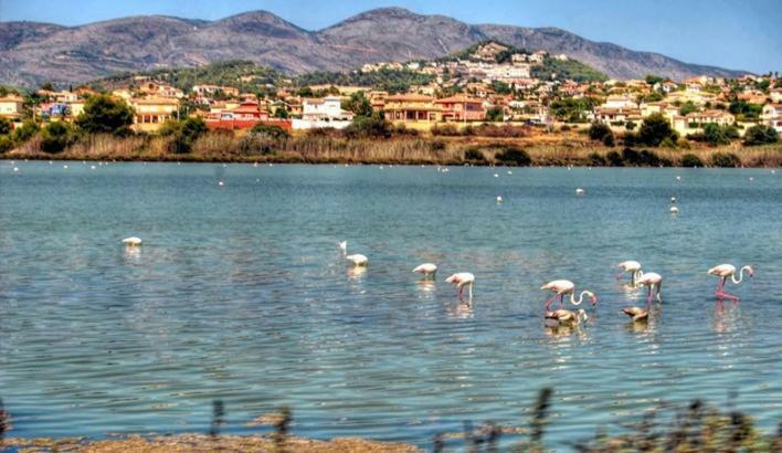 Apartamento Moderno Muy Centrico Y Cerca De La Playa Διαμέρισμα Κάλπε Εξωτερικό φωτογραφία